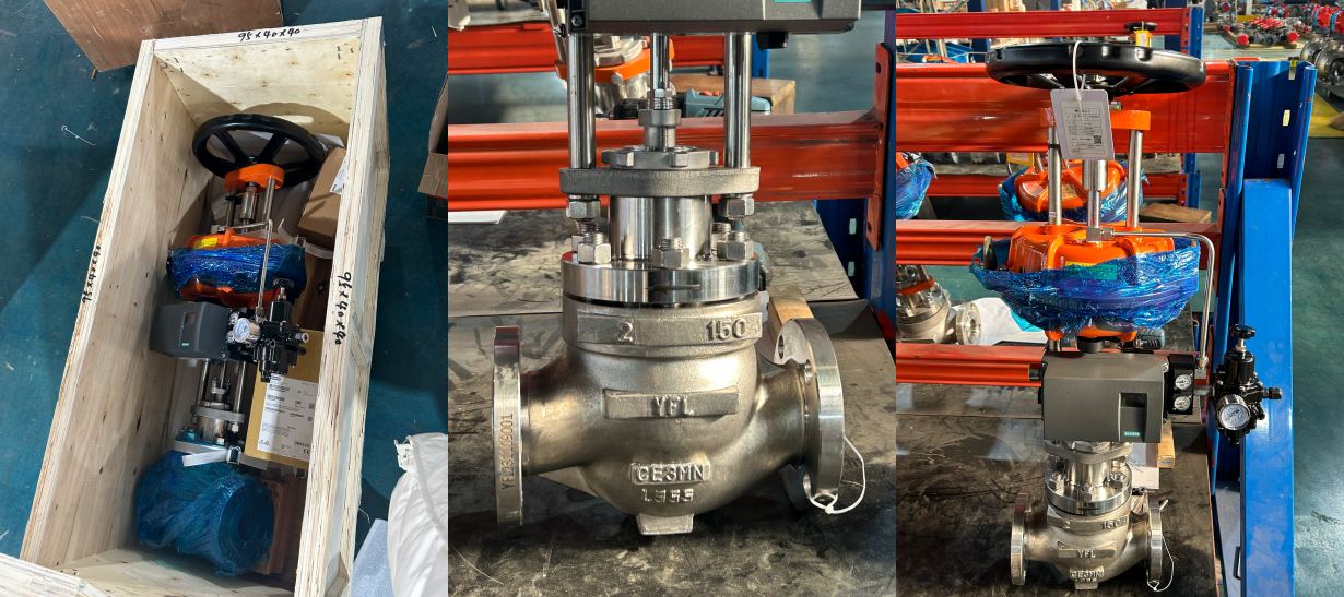 Duplex stainless steel CE3MN globe control valve