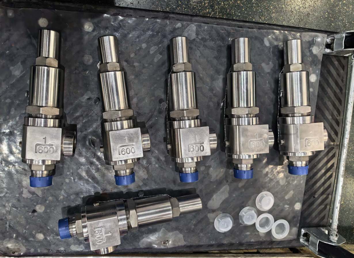 duplex stainless steel safety valves